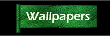 Botonwallpapers.jpg (6200 bytes)